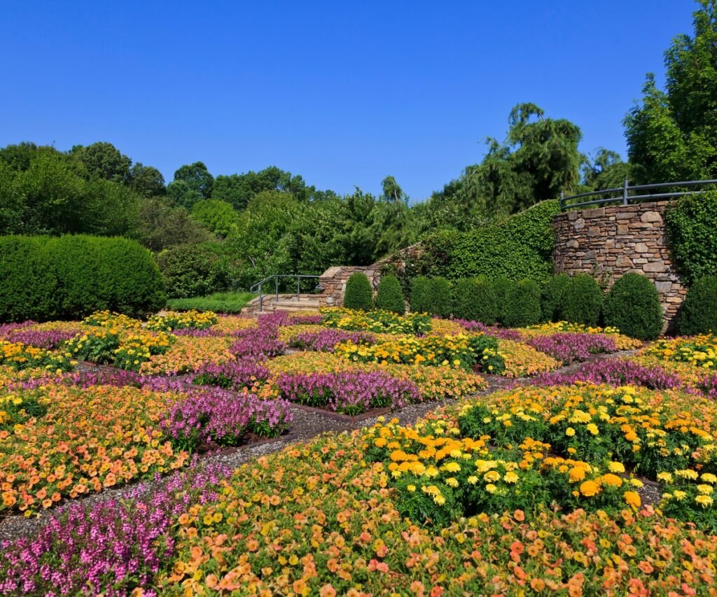 Asheville Botanical Gardens from Getty Images