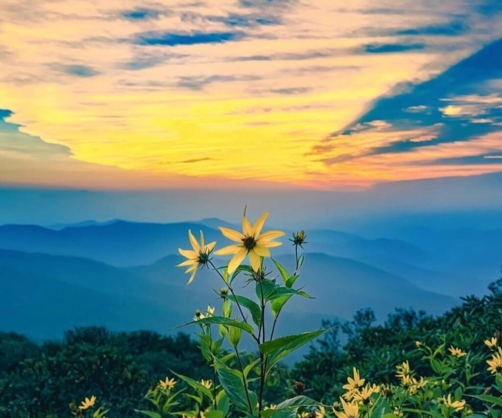 The blooming views along the Blue Ridge Mountains _ Things To Do In Bryson City