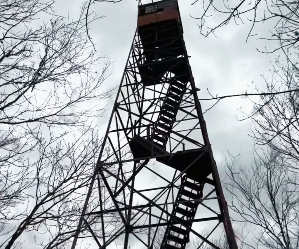 The Shuckstack Fire Tower